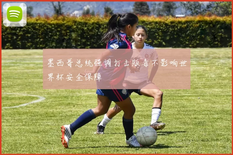 墨西哥总统强调打击贩毒不影响世界杯安全保障